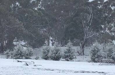 WHITEOUT: Barbara Hodges captured this great shot of Monday's snow at Gingkin. More snow is falling between Bathurst and Lithgow on Wednesday morning.