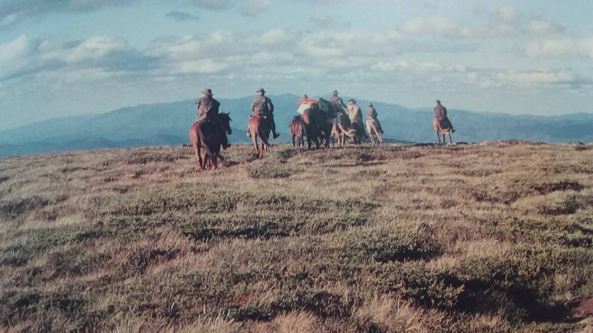 HIGH COUNTRY: Musterers set off on the Bogo High Plains in the Snowy Mountains. Photo: SUPPLIED