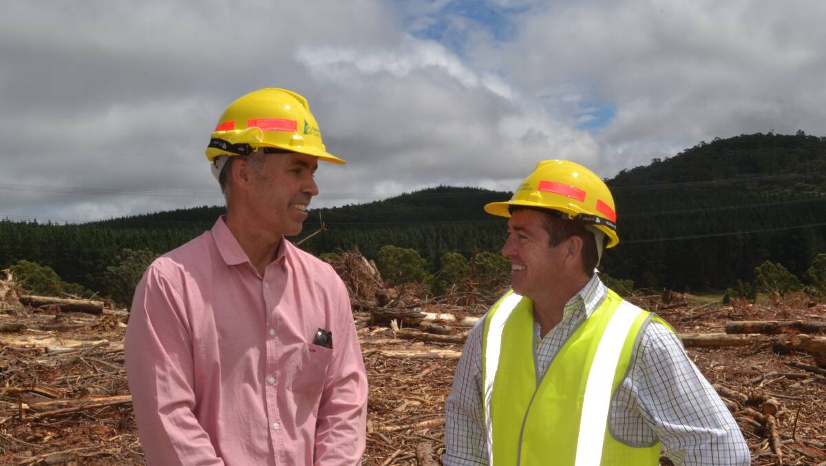 A GROWING INDUSTRY: Forestry Corporation regional manager Jason Molkentin and Lands and Forestry Minister Paul Toole in a state-owned pine forest near Oberon on Wednesday.