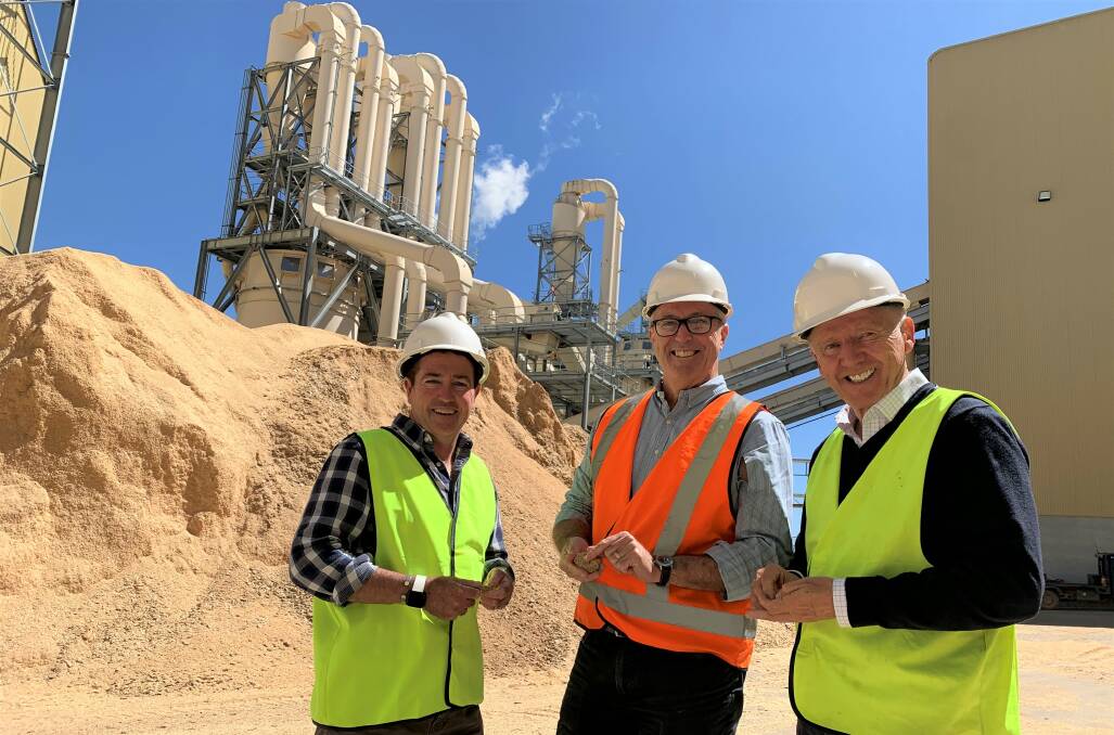 JOBS BOOST: Bathurst MP Paul Toole, Borg chief executive officer Jim Snelson and Borg national building manager Garry Chilcott on site at the Oberon timber processing plant.
