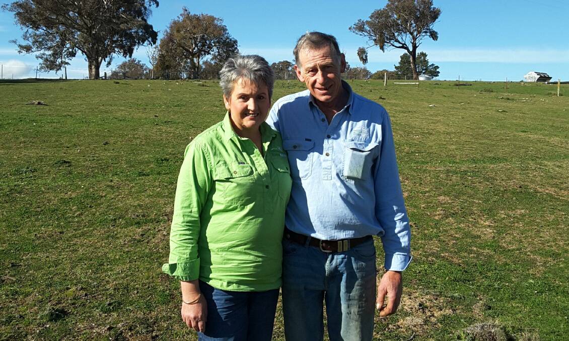 POMANARA SALE: Geoff and Robyn Rayner will offer 33 superfine rams on-property on Saturday afternoon.