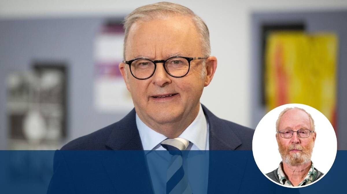 A banal nastiness has infiltrated Albanese's rhetoric. Picture by David Bellamy