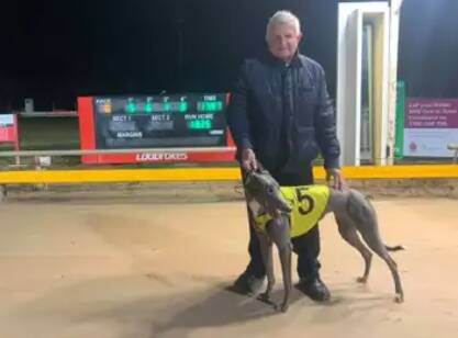 Enjoy Dubbo Greyhound Racing. File picture
