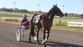 Ready to race at Bathurst Harness Racing Club. Picture from file