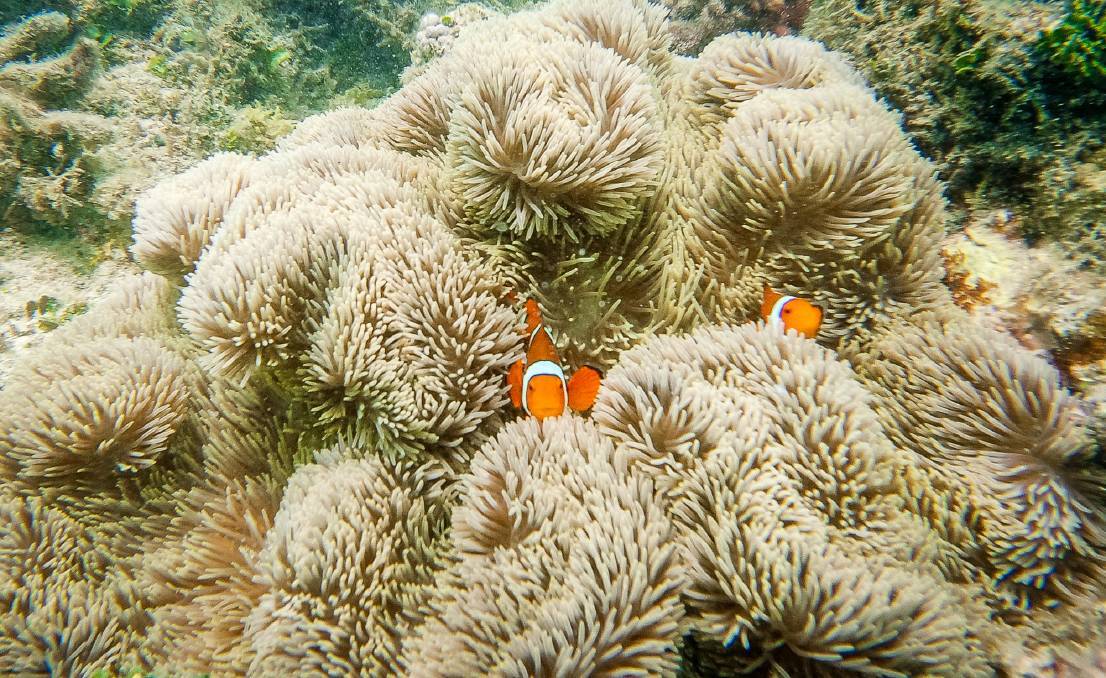 Great Barrier Reef adventures to feed the soul