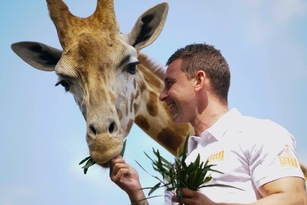 Call of the jungle: Australia’s best wildlife parks Call of the jungle: Australia’s best wildlife parks