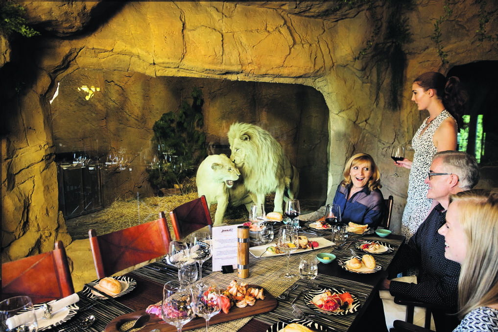 Call of the jungle: Australia’s best wildlife parks Call of the jungle: Australia’s best wildlife parks