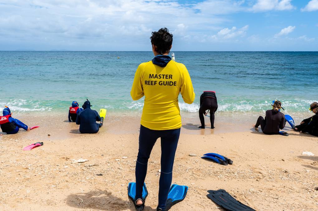  Alessandra Giannascoli leads snorkelling safaris and walking tours of the Frankland Islands.