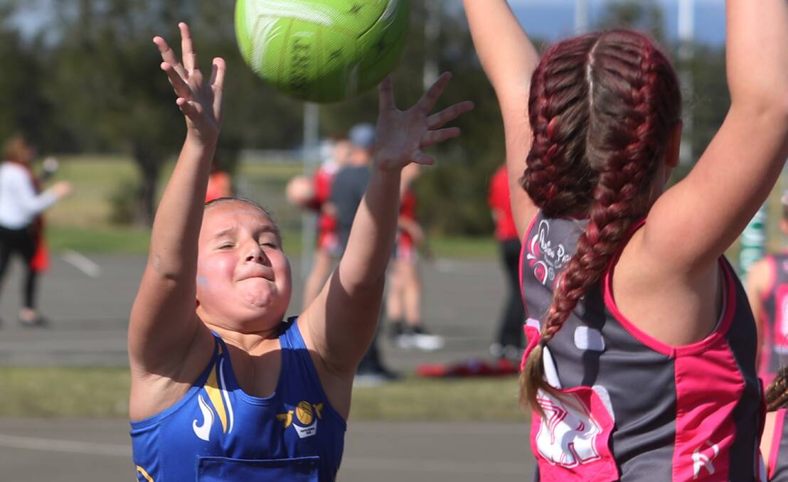 Sports Australia toolkit's the roadmap back for community competition
