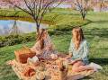 Enjoy a picnic in Mayfield Garden. Picture supplied
