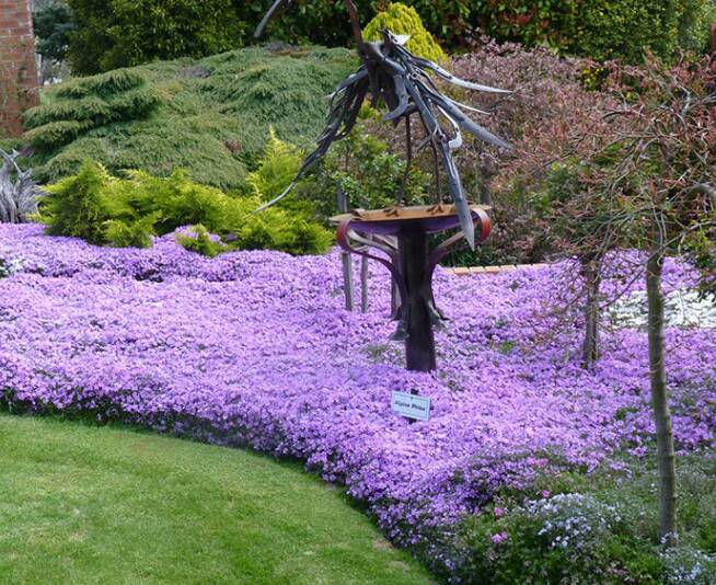 SPECTACULAR: Gairloch Garden will be open to the public over the next two weekends.