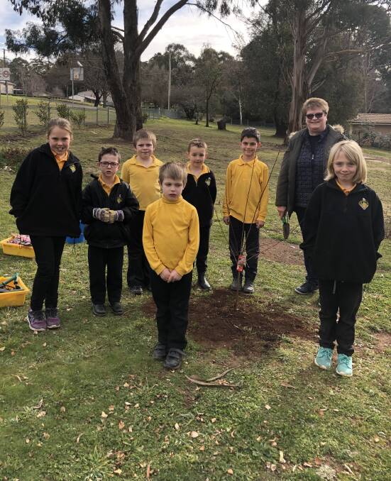 SMILE: As part of Schools' Tree Day, Black Springs students planted a flowering plum tree at the front of their school.