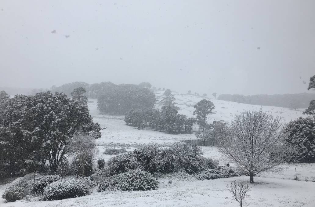 COLD: High parts of the Oberon area woke to a dusting of snow on Sunday morning, with follow-up snow falling later in the afternoon. Photo: JENN CAPEL.