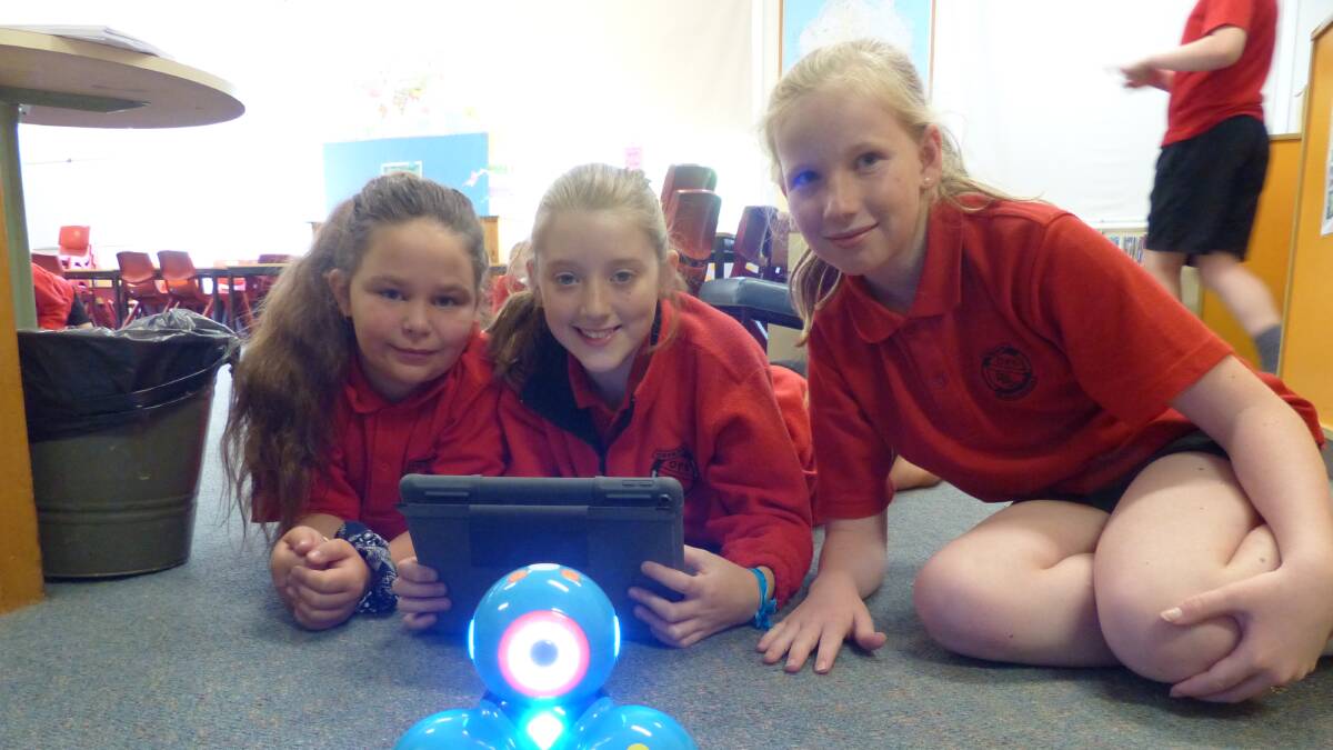 ACTIVITIES: Oberon Public students are developing programming systems and coding through the use of robotics and software.