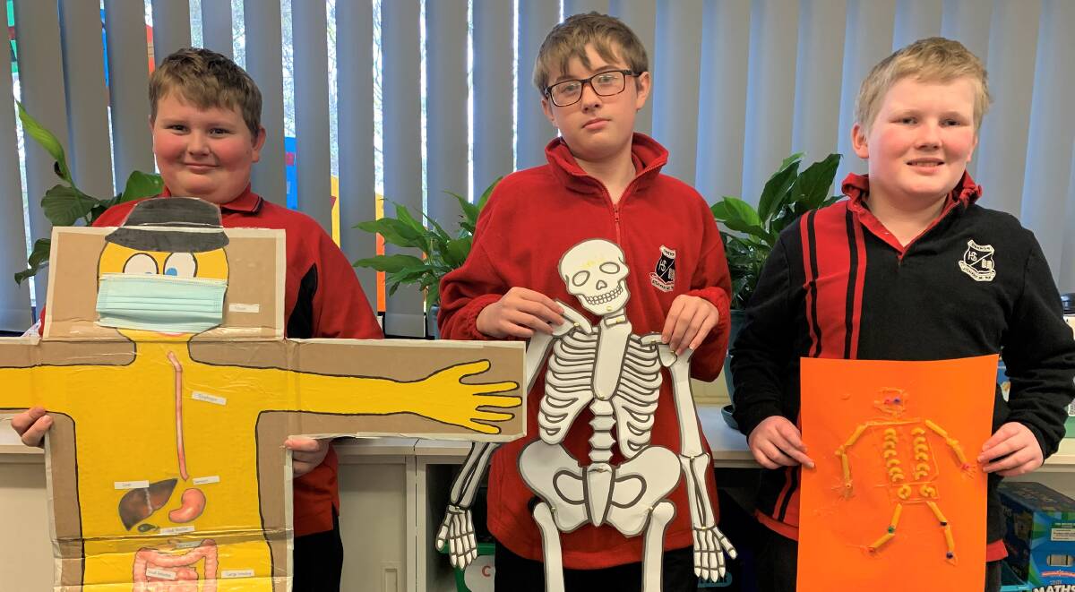 WHAT LIES BENEATH: Year seven students Bailey Tucker, Blake Lyon and Liam McLeod with their body system models.