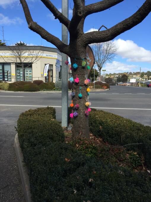 ALL DRESSED UP: The Winter Botanica Festival has been cancelled again, but Oberon's main street trees are looking great in their winter woollies.