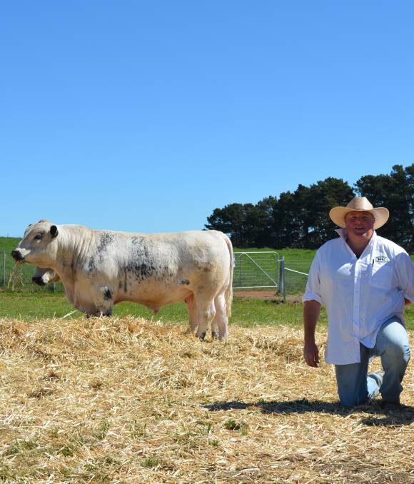 RECORD: Dale Humphries, owner of Wattle Grove Speckle Park in Oberon, sold a Speckle Park bull for a record-breaking top price of $30,000 at his recent on-site sale.