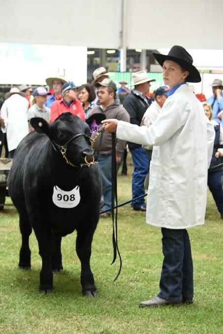 WINNER: Scots School student Jake Mawhood at the Royal Easter Show with an Angus steer bred by Mawhood's Sunny Point Pastoral Company.