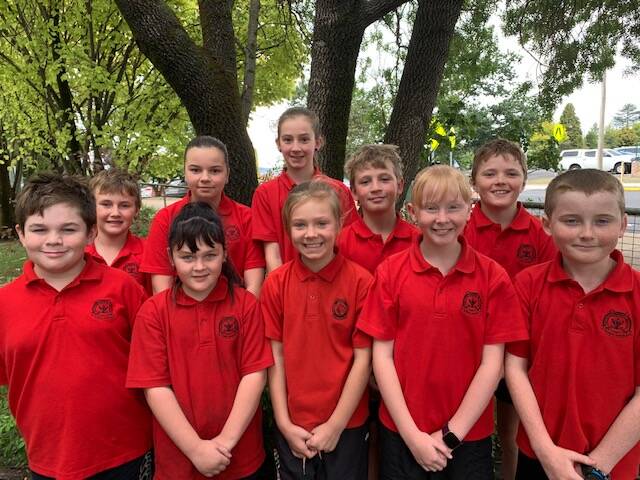 SUCCESS: Oberon Public School's 2020 swimming champions from the school's carnival held last week at the pool complex.