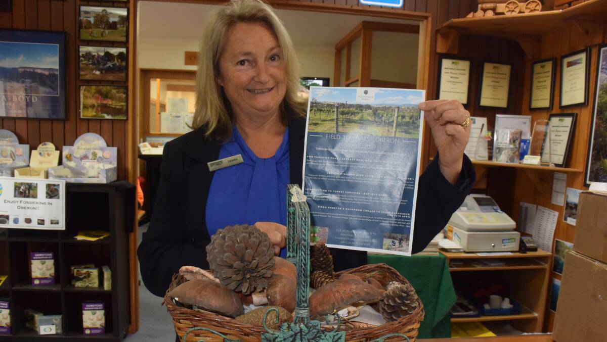 EXCITED: Deb Marks from the Oberon Visitor Information Centre is ready to take bookings for Field to Forest festival events.