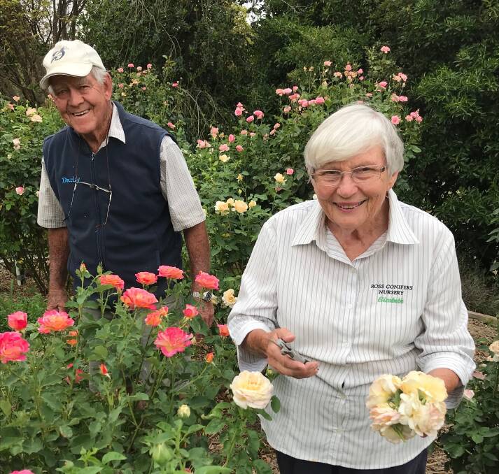 RETIRING: Allan and Elizabeth Ross in their rose garden at Tarana. They will soon close the doors at their nursery.