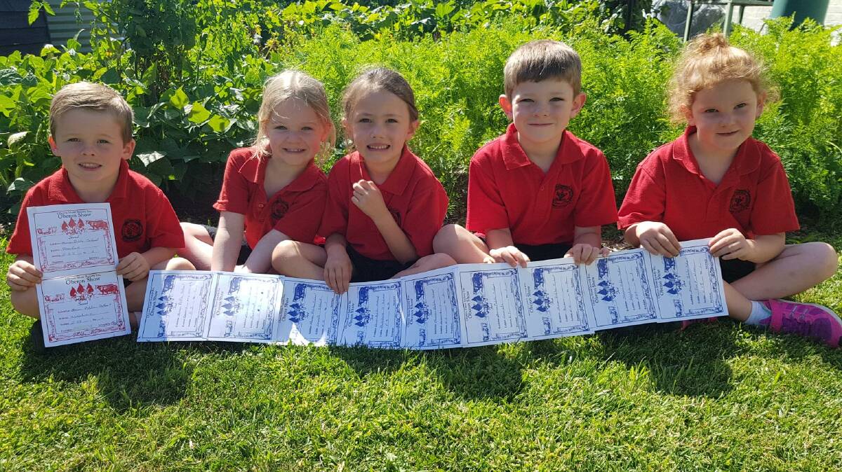 SUCCESS: Oberon Public School's garden produce enjoyed great success at the recent Oberon Show, placing first in many categories.