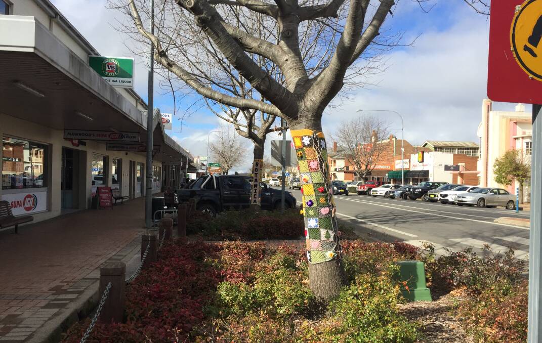 THAT'S A WRAP: Four decorated main street trees are attracting a lot of attention.