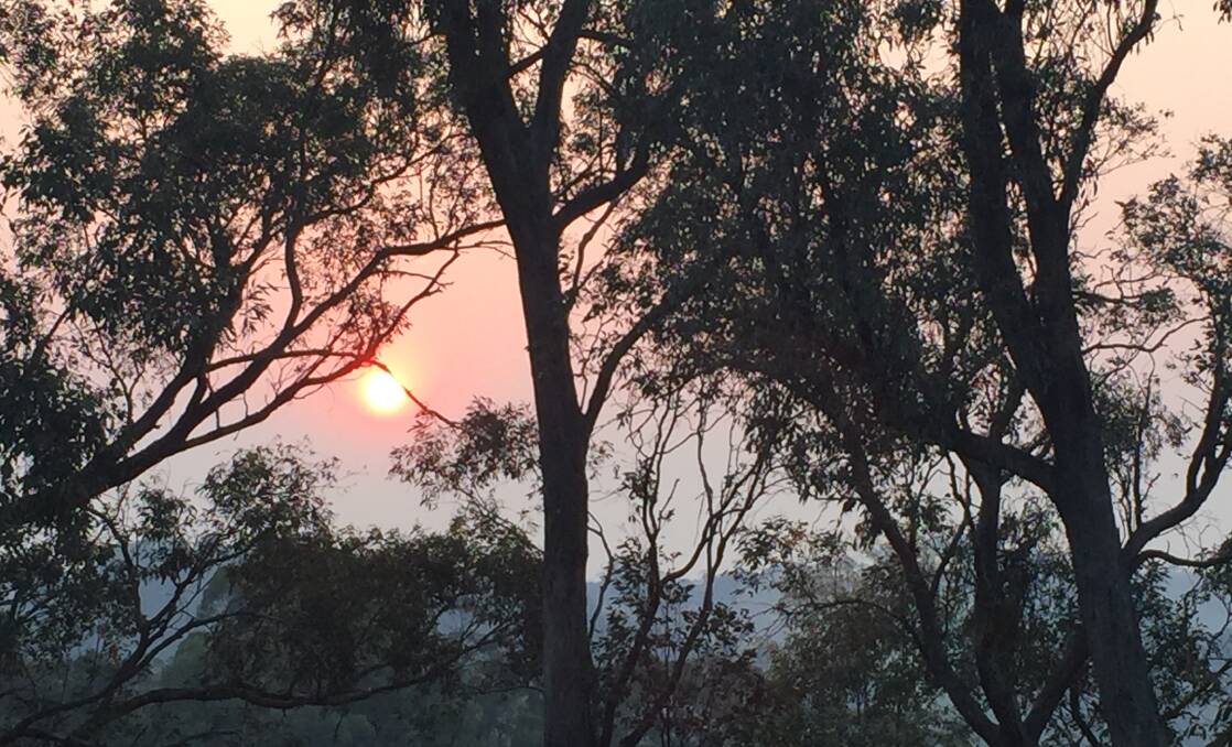 HEALTH HAZARD: Oberon has been wreathed in smoke over the past week as fires burn out of control to the town's south.