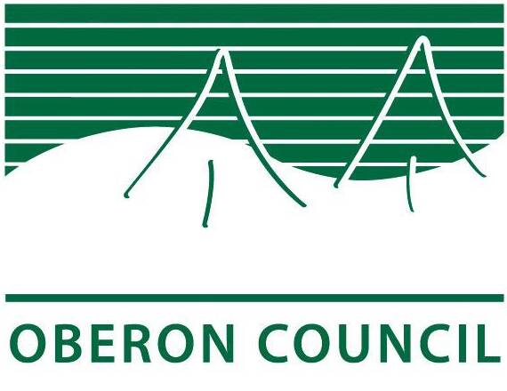 Council's current logo.