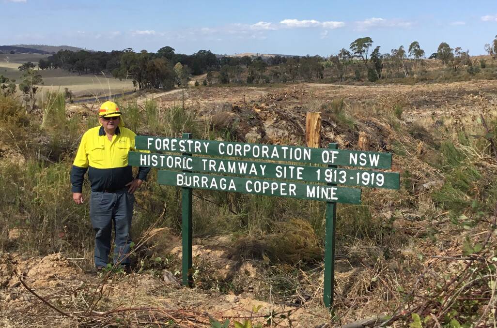 DISCOVERY: Forestry Corporation staff member Bill Klower at the site of a former tramway at Burraga that was discovered by chance.