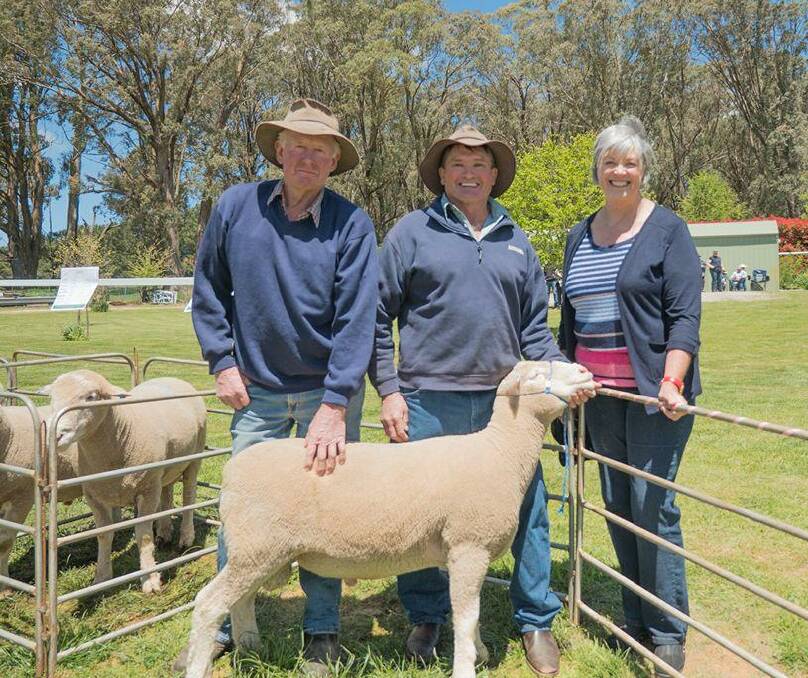 HELP: Peter Colley bought the fundraising ram in 2016, raising $1500 for Cancer Council.