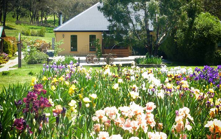 BLOOMING: Dianna van Gaal from Antonia's Irises at Beekeeper's Inn Gardens will be Oberon Garden Club's guest speaker at the May meeting. 