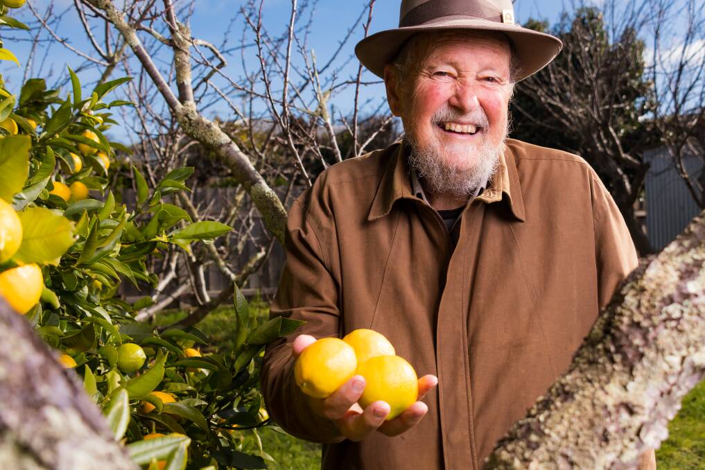 Abundance: Dr Stevenson's garden is as wild and fruitful as his passion for life. Picture: Simon Sturzaker