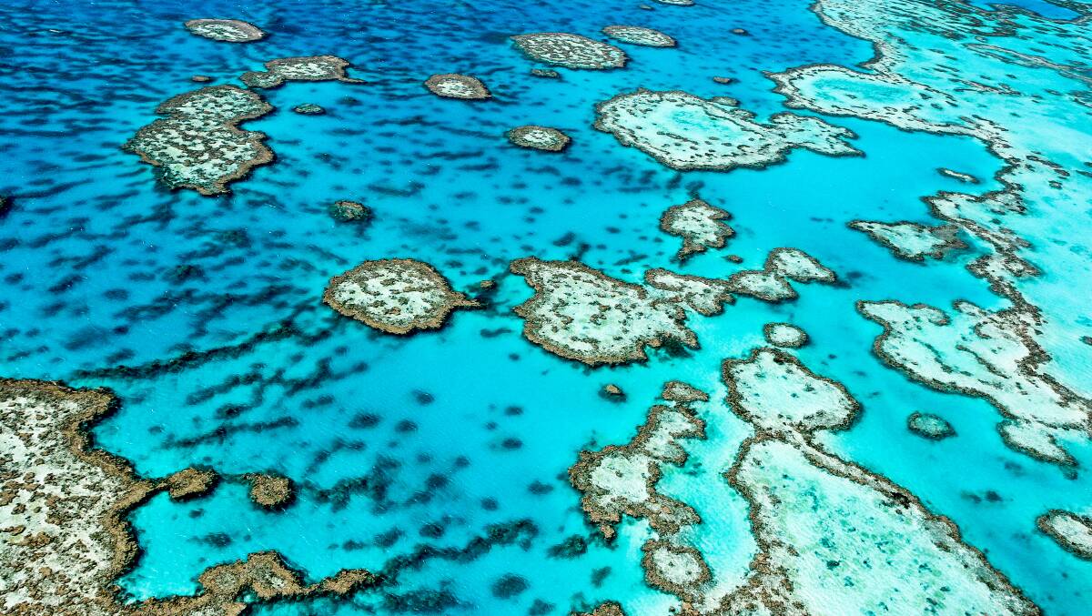 High time for leadership on Great Barrier Reef | Our Future