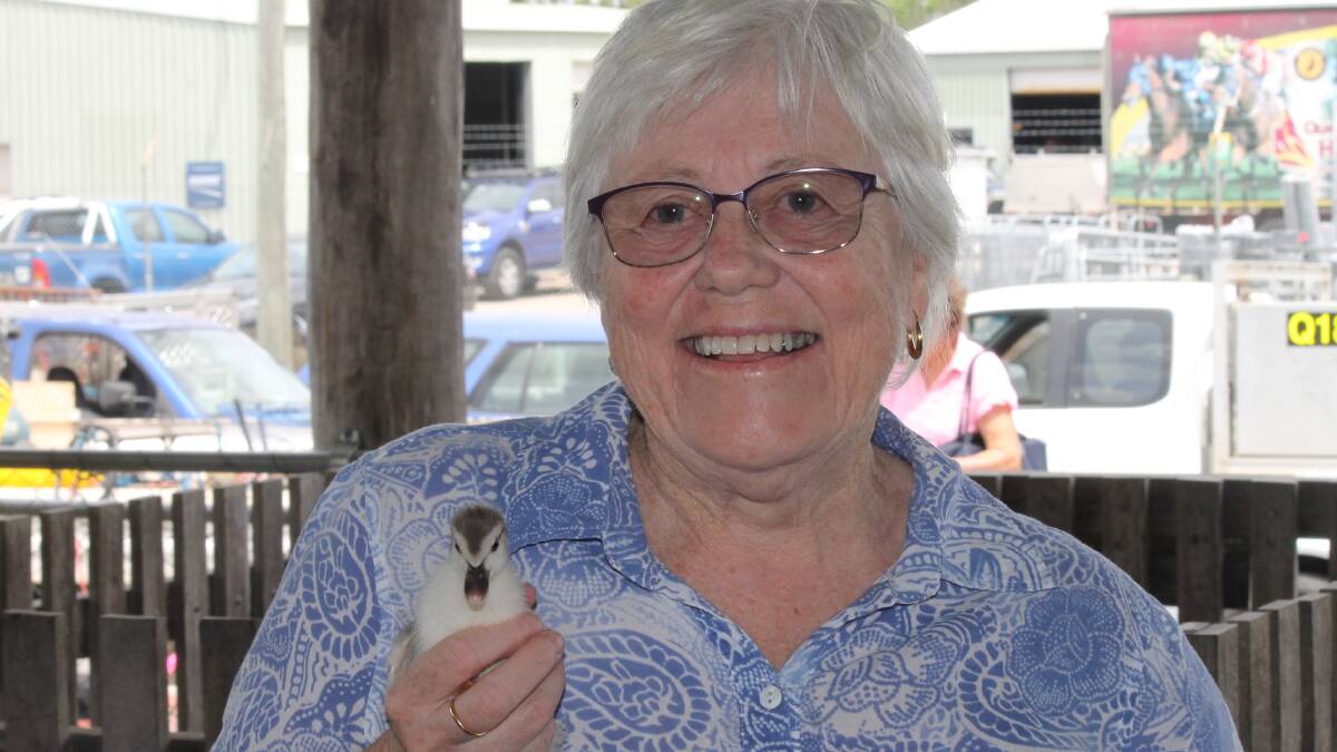 Gold Coast resident Kerry Cahill bought a pair of ducklings after coming across the pig and calf sale by accident. Picture: Larraine Sathicq