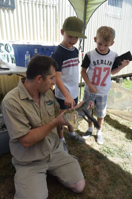 Animal adventures: There are animals to be found everywhere you look at the Oberon Show, like the 1.5 metre crocodile these boys discovered. Photo: File.