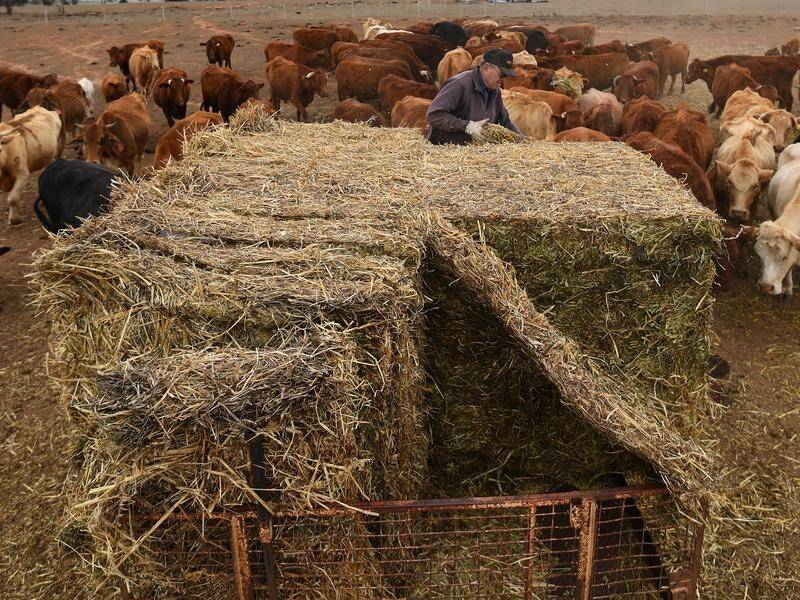 Scammers are targeting drought-stricken farmers with online promises of cheap hay.