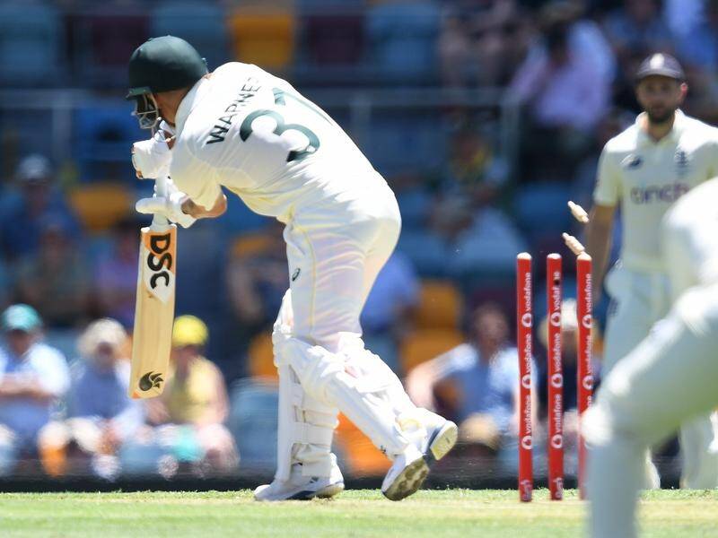 David Warner earned an Ashes life after the opener was bowled off a no-ball in the first Test.