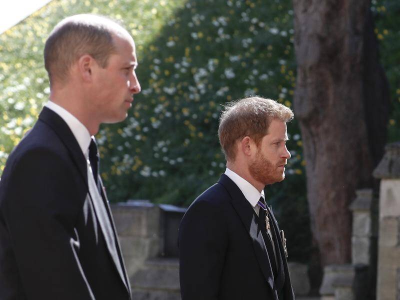 Prince William (L) and Prince Harry followed the coffin of Prince Philip in a ceremonial procession.