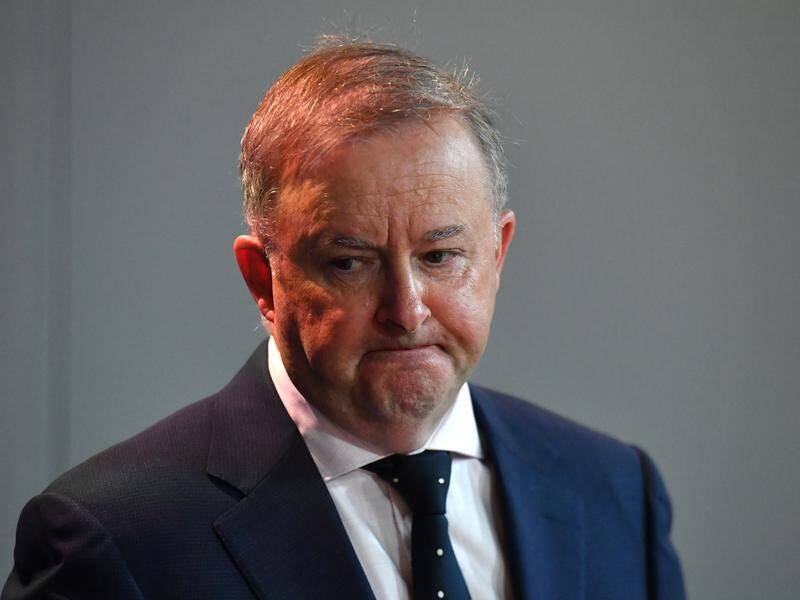 Anthony Albanese has called for all defence assets to be available to help bushfire areas.