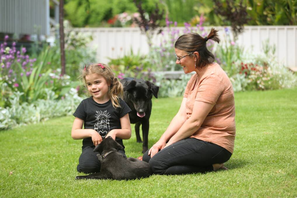 ABOVE: Jane Kohne, 6, with mum Jill and dogs, Suzie and Alli watch on. Picture: JAMES WILTSHIRE