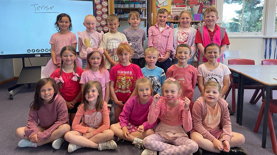 Students from Oberon Public School dressed up in pink during October.