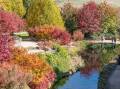 WARM COLOUR: Mayfield Garden's Autumn Festival has been popular among visitors.