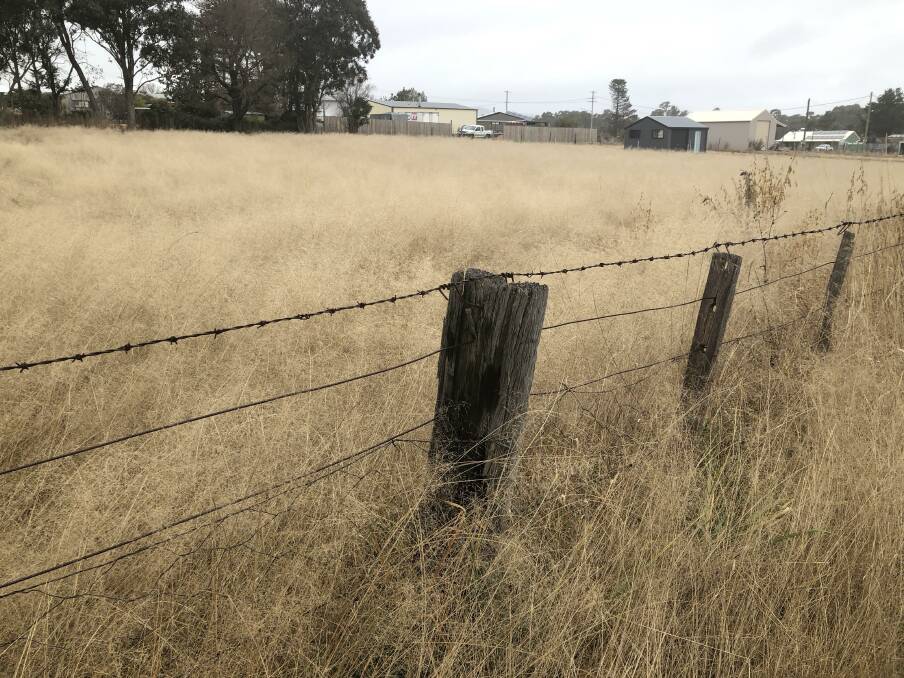 FIRE SAFETY: High grassland fuel loads are a concern for firefighters in the Chifley/Lithgow region. This photo shows high grass levels in the Northern Tablelands. Photo: JASON JARRETT