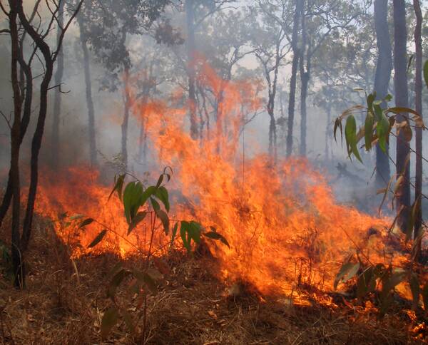 BURN-OFF: Almost 100 hectares of bushland will in this planned hazard reduction at Meadow Flat. Photo: FILE