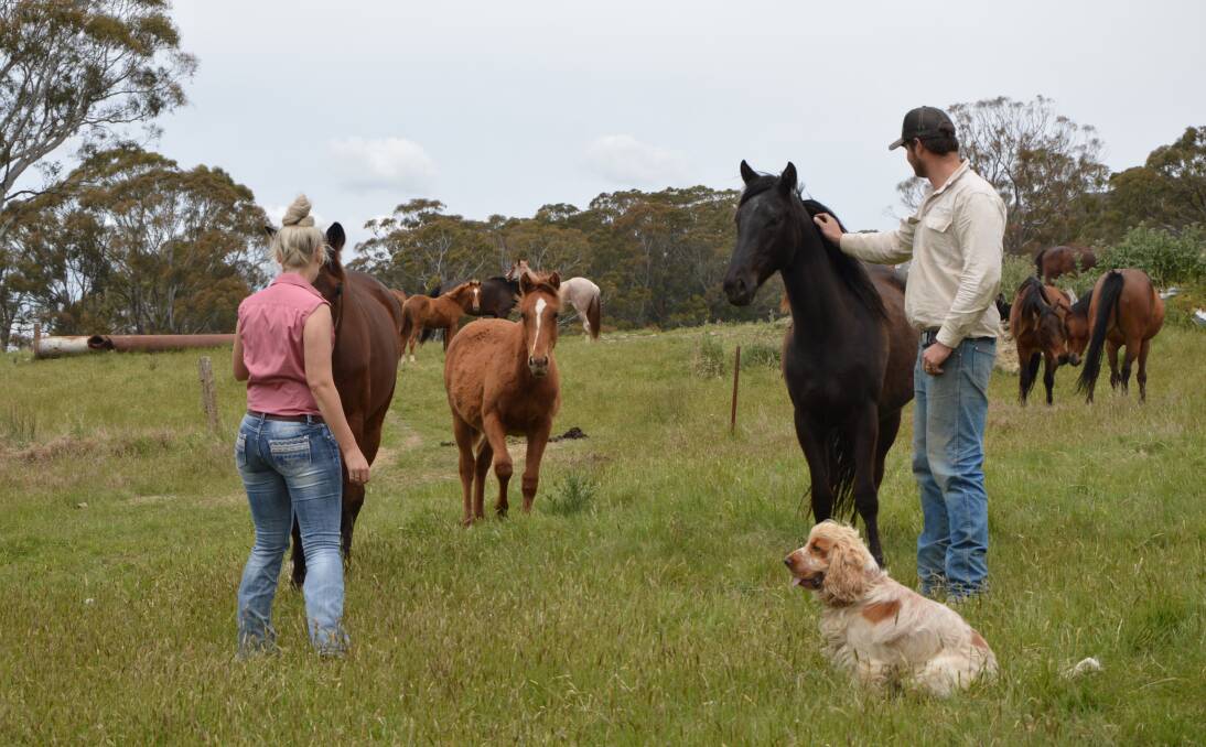 LIVING THEIR BEST LIVES: Alex and Leigh Cragg love their horses and their dog 'Cowboy'. Picture: ALANNA TOMAZIN